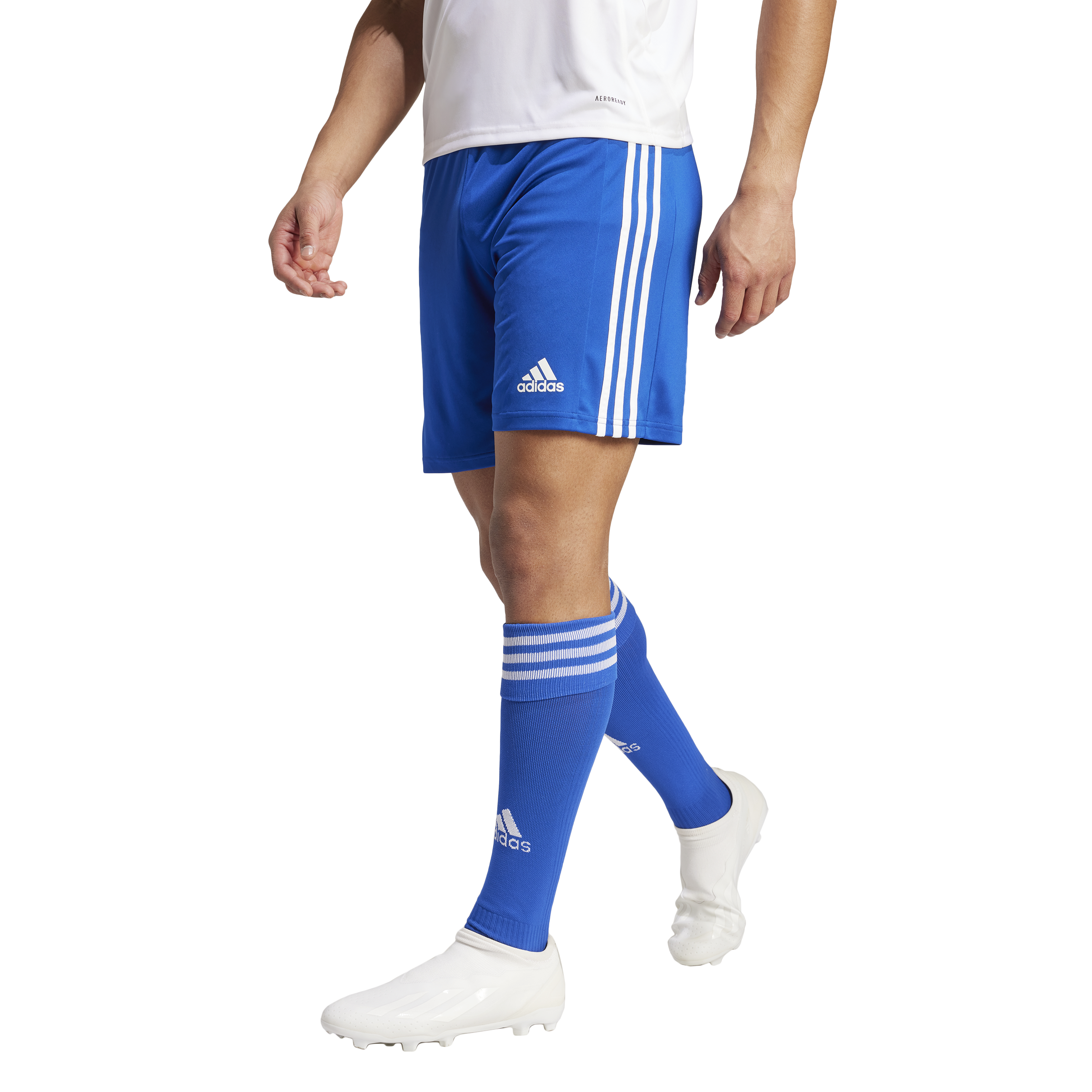 SHORT SQUADRA 21 ROYAL